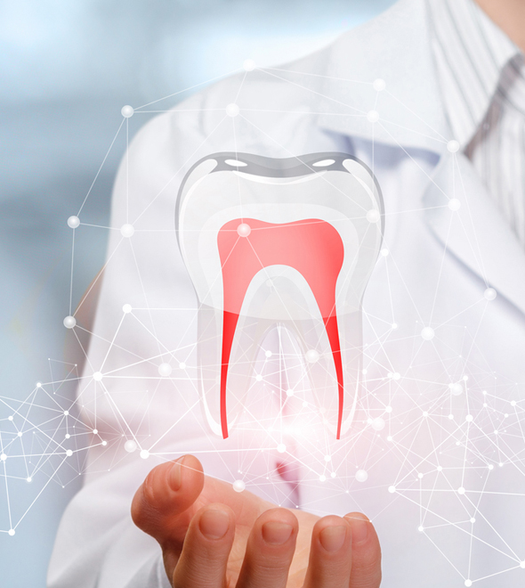 Dentist in white coat displaying digital tooth model with red pulp chamber illustration